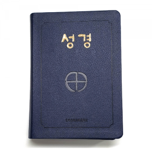 성경 대-(2단:색인) / 한국천주교주교회의