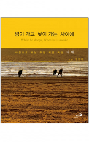 생활성서사 인터넷서점,밤이 가고 낮이 가는 사이에 / 성바오로
