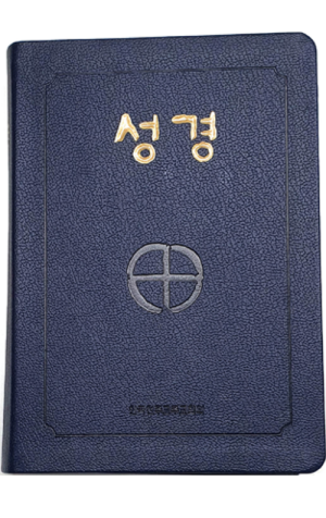 생활성서사 인터넷서점,성경 대-(2단:색인) / 한국천주교주교회의